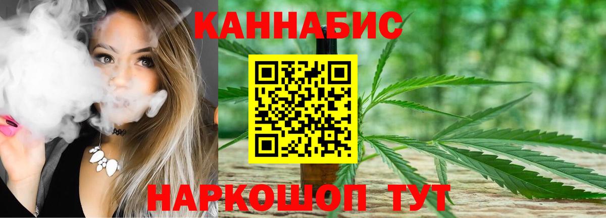 Бошки Шишки план Кинель